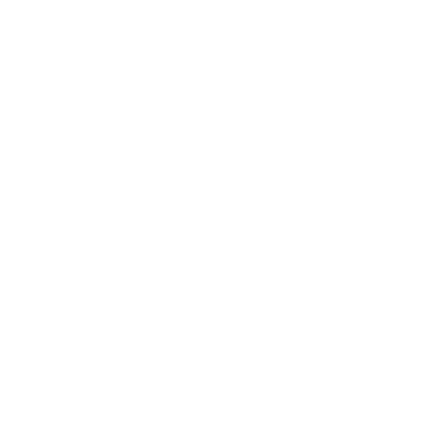 Flask